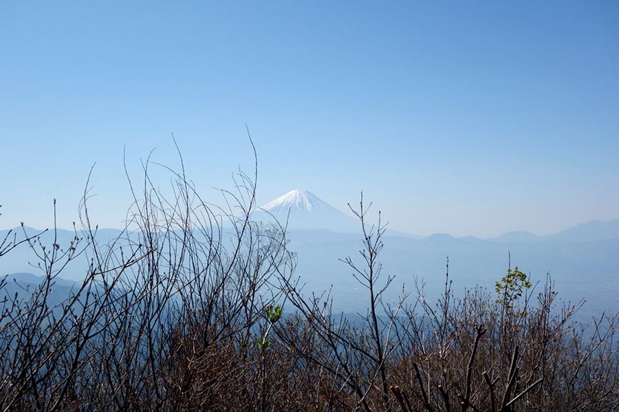 富士山ビュー