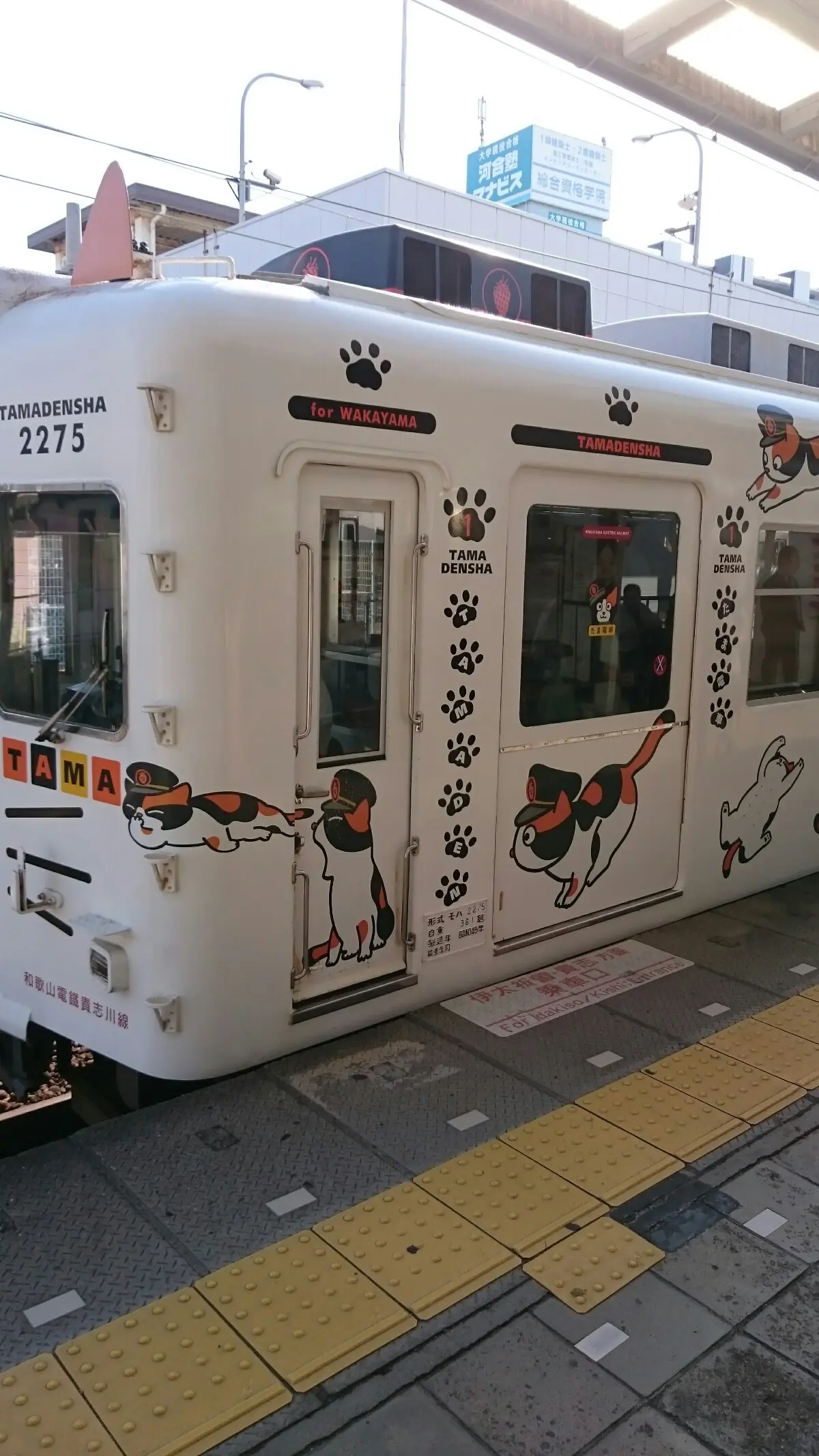 一度は乗りたい乗り物の話。