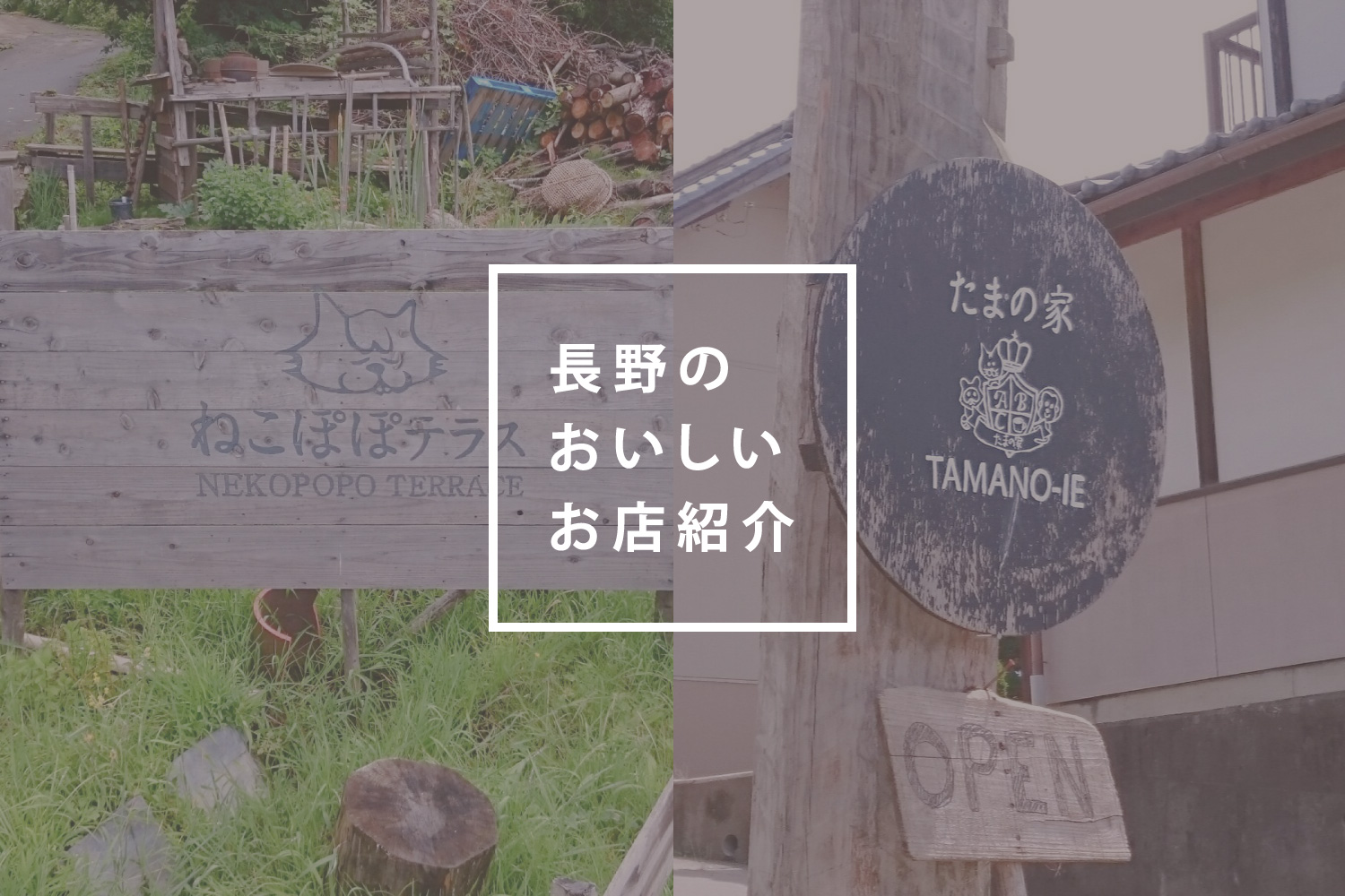 長野のおいしいお店紹介　『食べて地元を応援！編』
