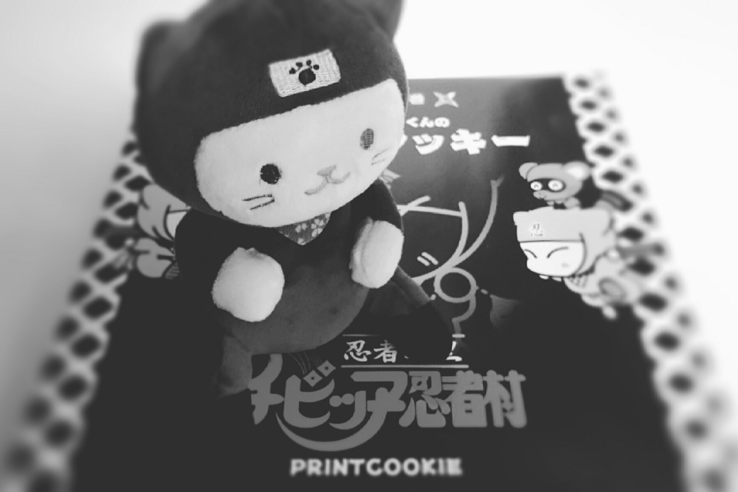 忍者村へ～撮影会編？～