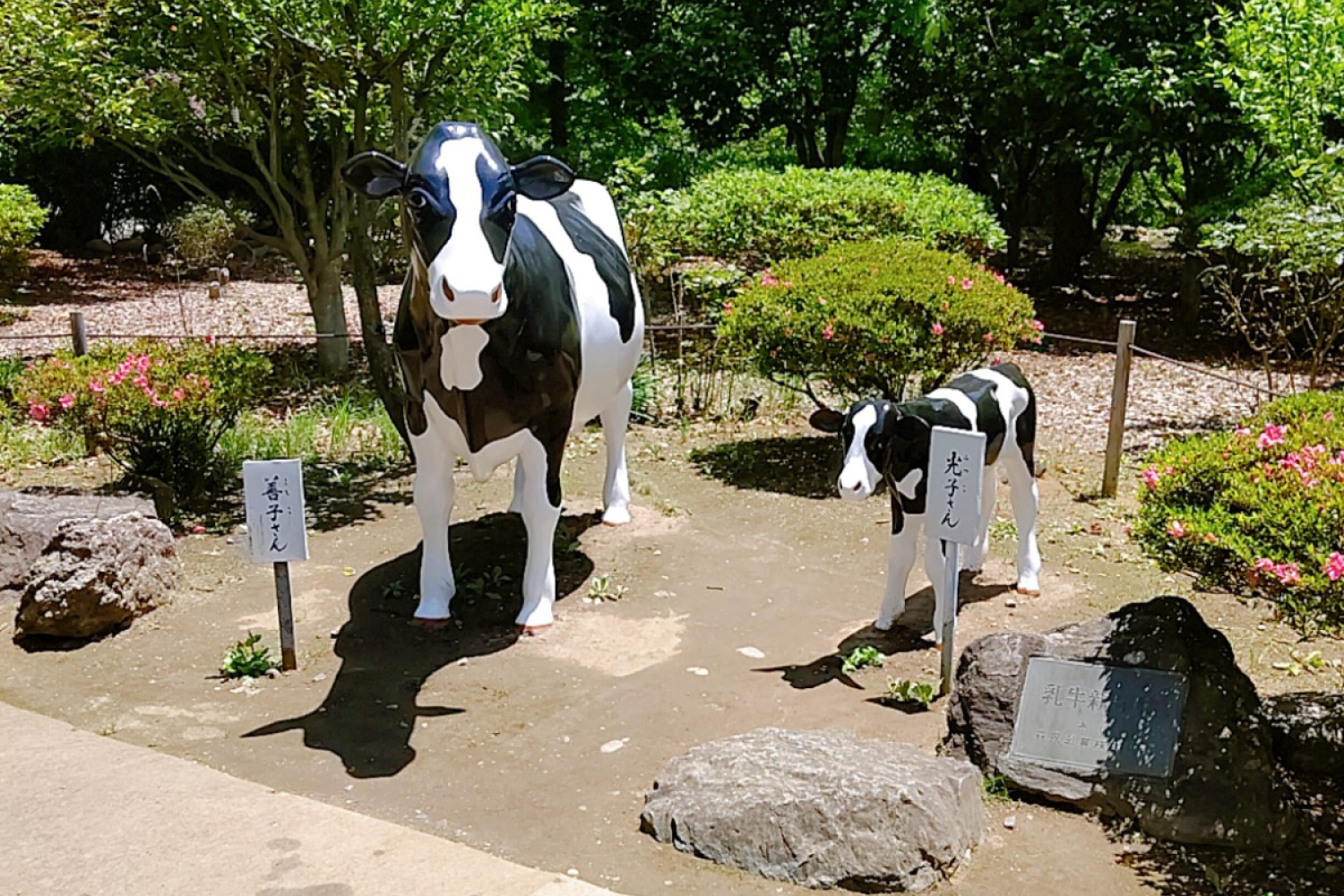 【牛にひかれて善光寺参り】善光寺にいる隠れ牛のお話