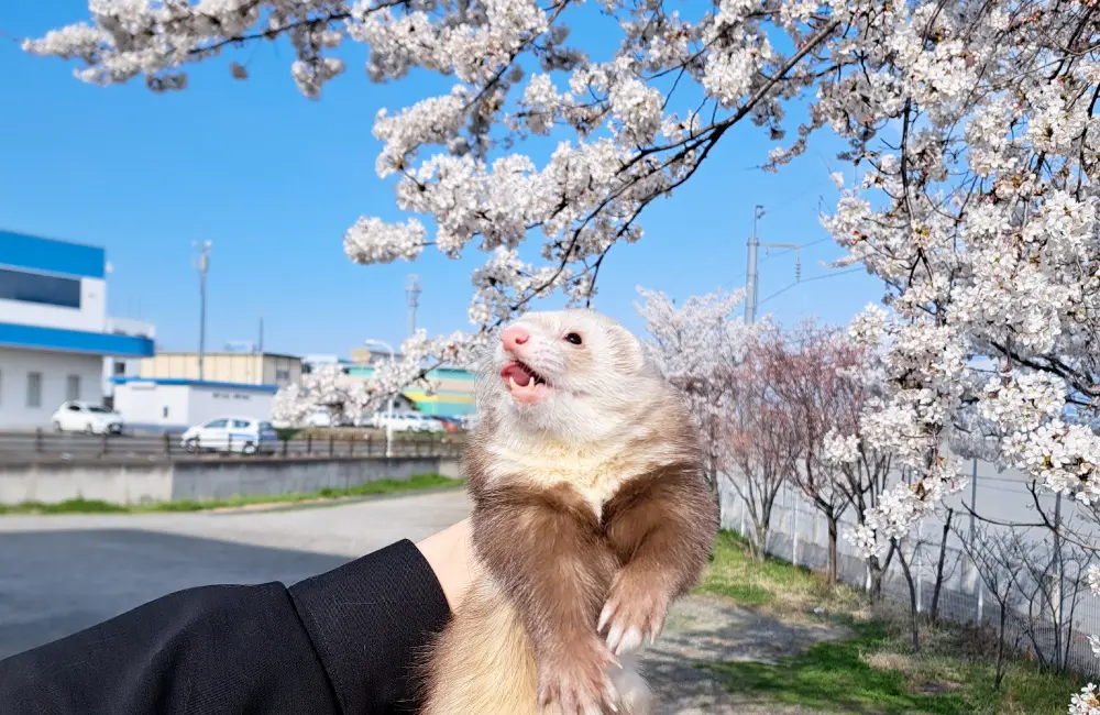 新年度もそこそこ過ぎてしまいましたが・・・