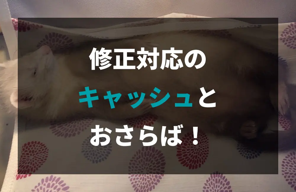 【WORDPRESS】キャッシュでお悩みの方必見！制作側で出来る自動でキャッシュをクリアする方法