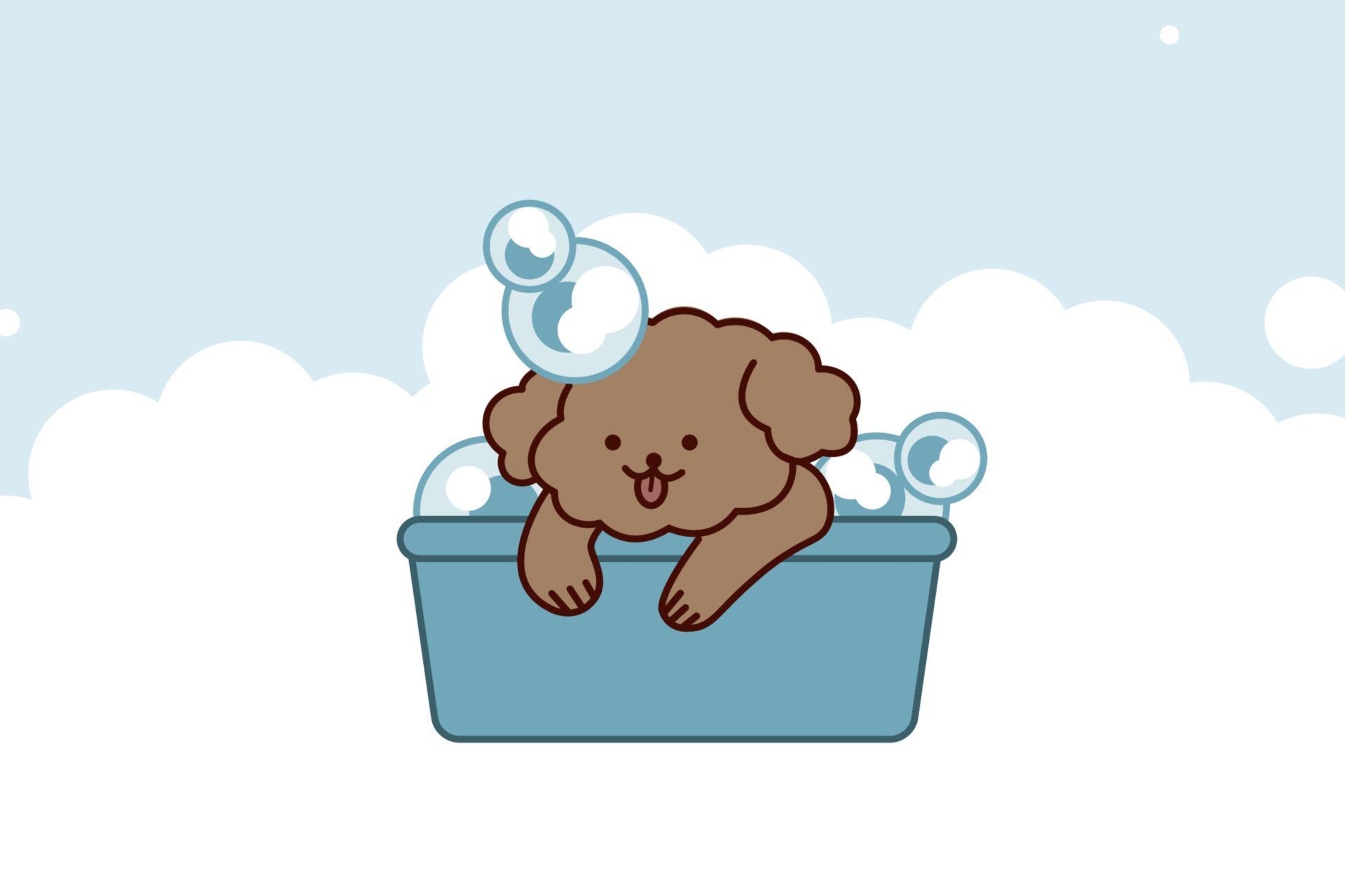 あわわん