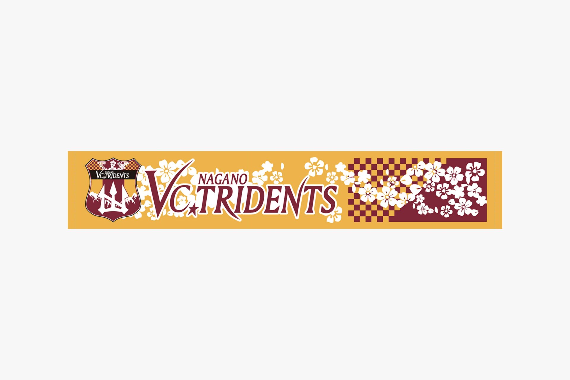 VC長野トライデンツ