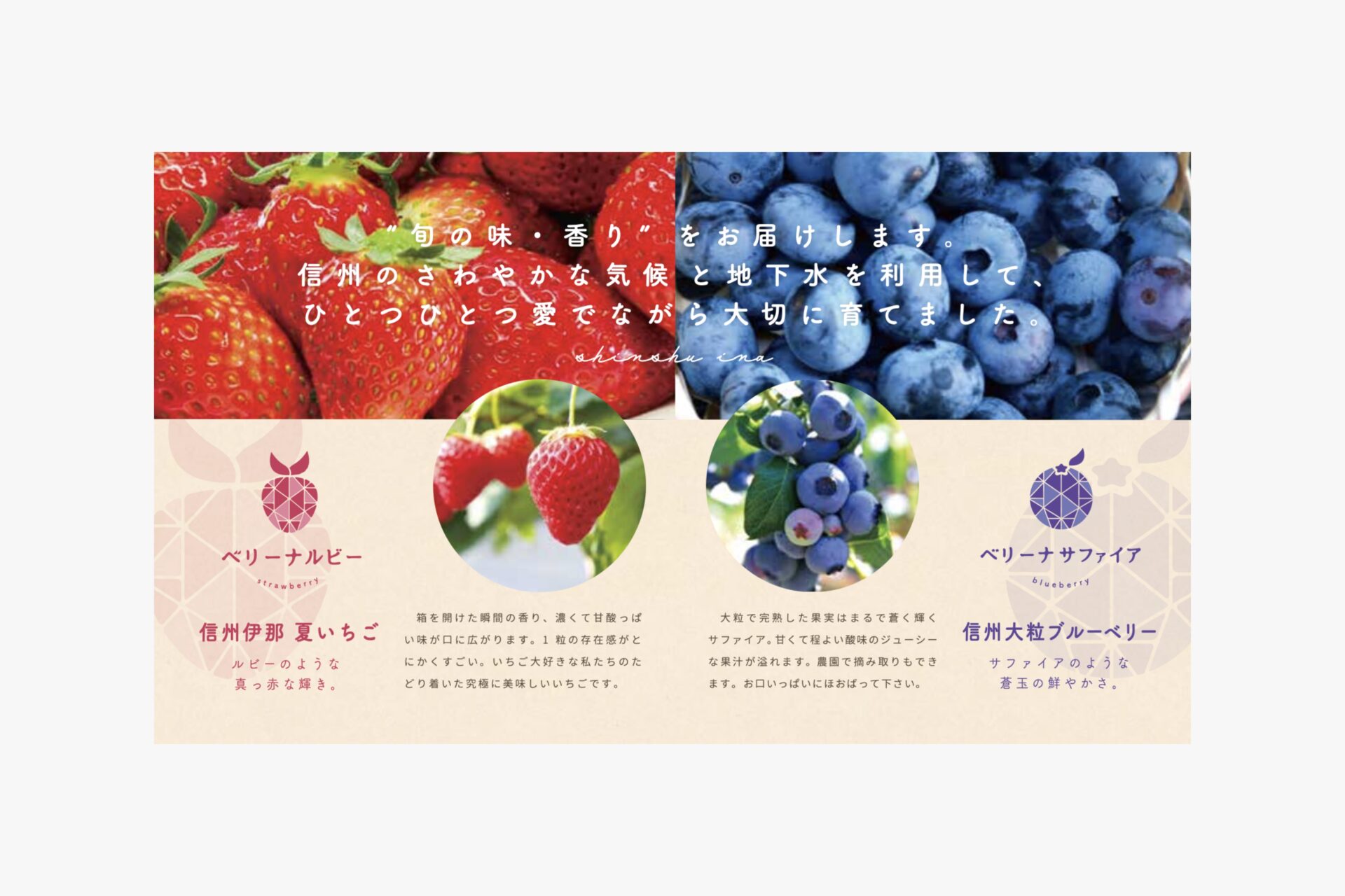 べリーナ