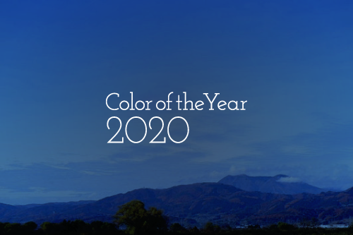 カラー・オブ・ザ・イヤー 2020！
