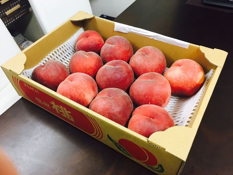 朝採れ！新鮮！中野市の美味しい桃が届きました