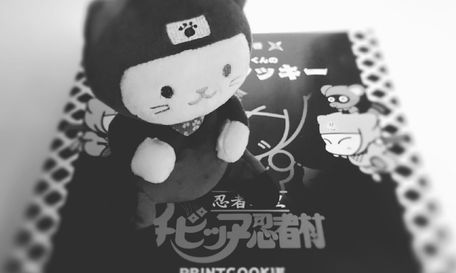 忍者村へ～撮影会編？～