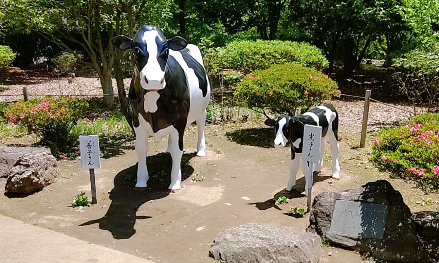【牛にひかれて善光寺参り】善光寺にいる隠れ牛のお話