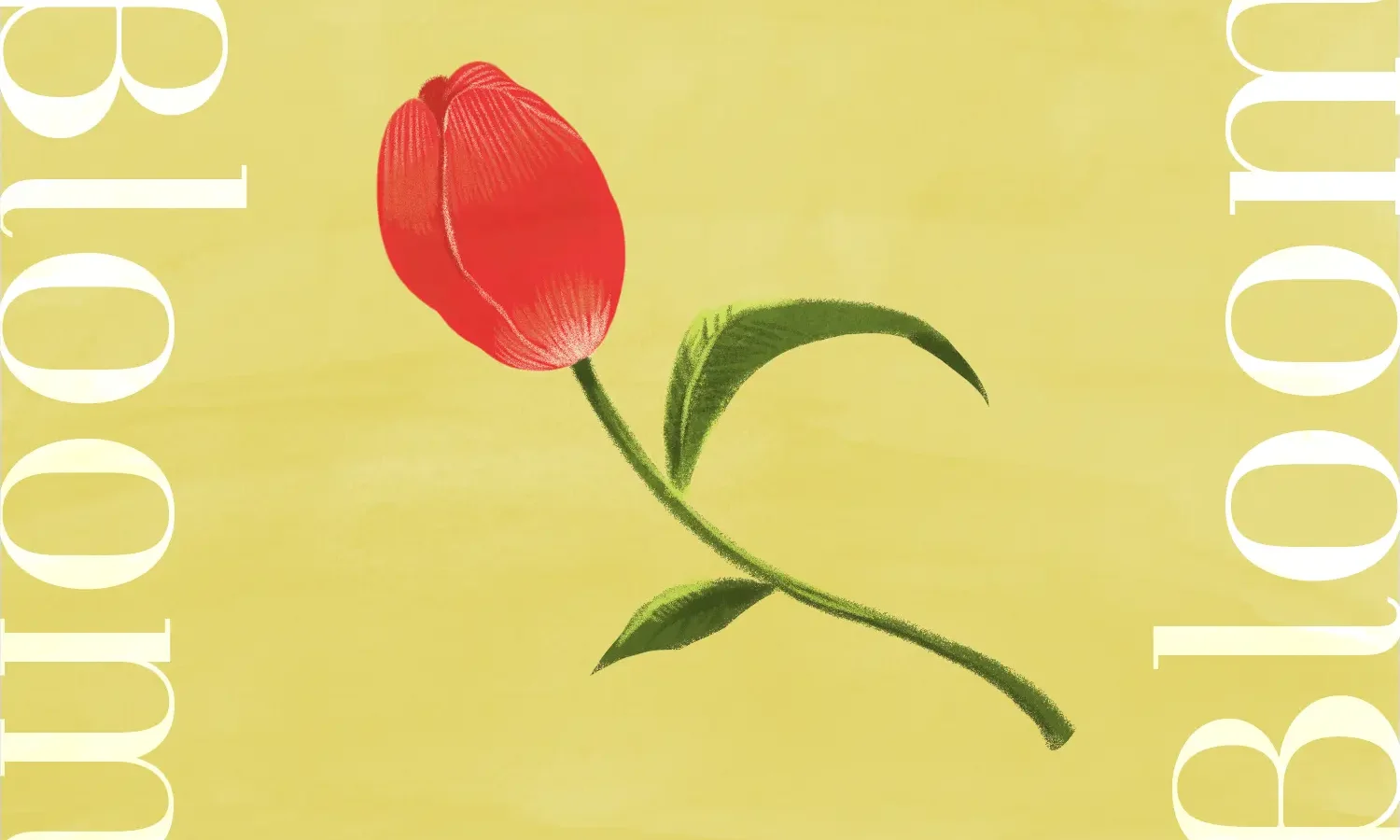 花ひらくように
