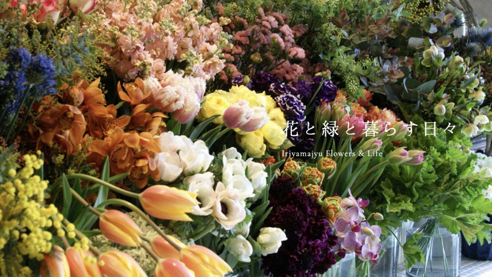 入山十百花店