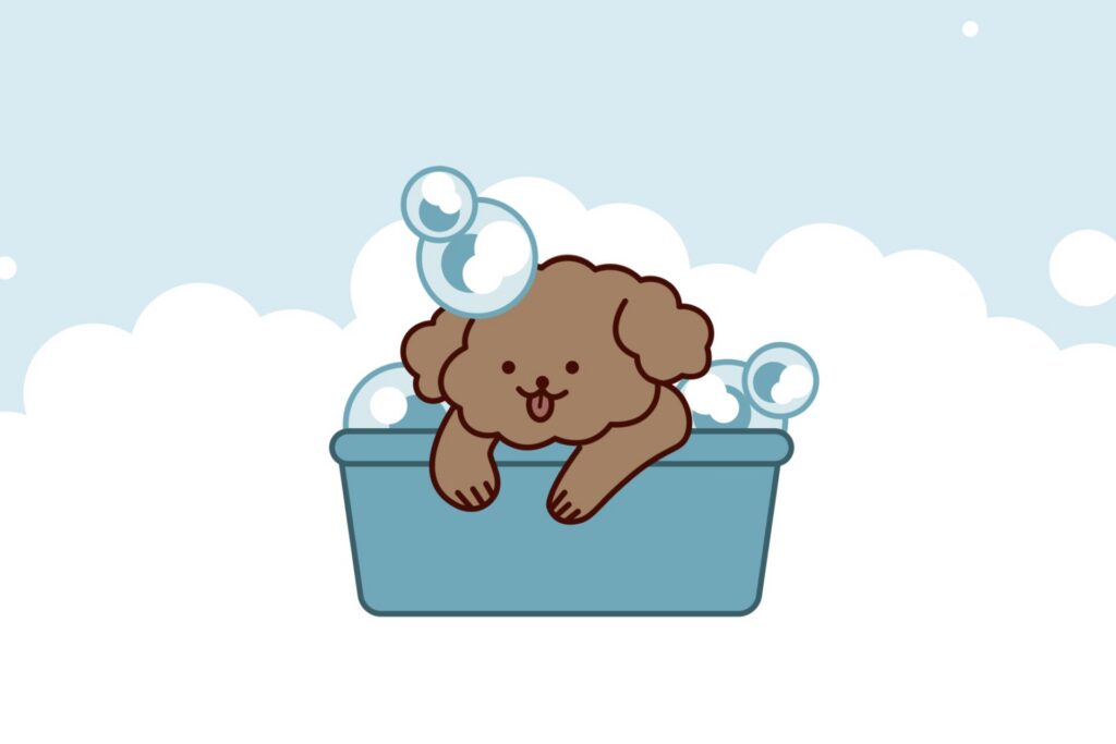 あわわん