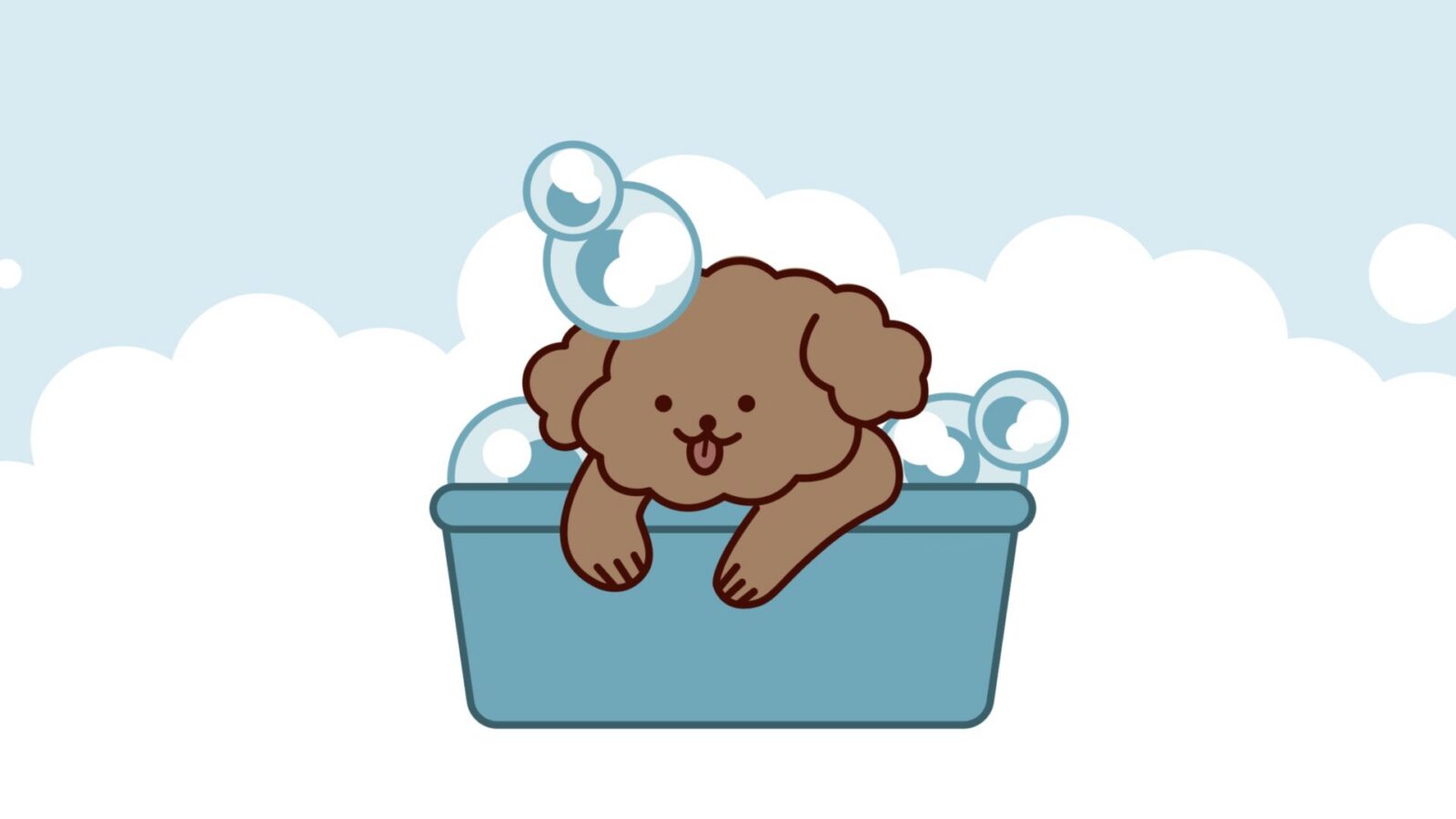 あわわん