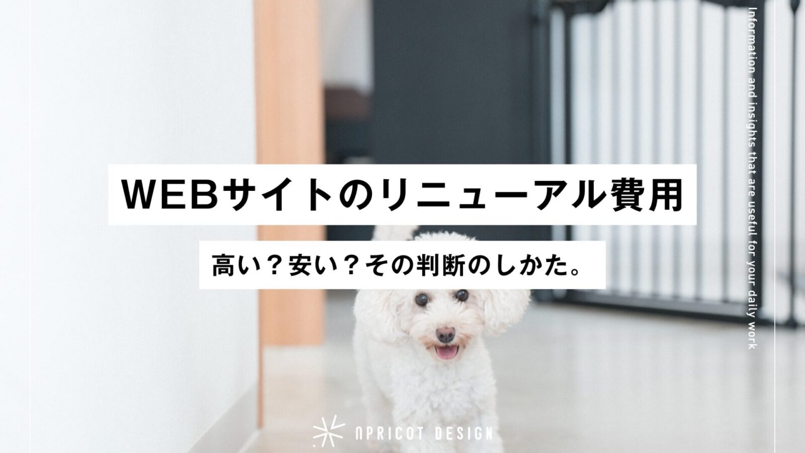 ホームページのリニューアル費用、高い？安い？その判断のしかた。